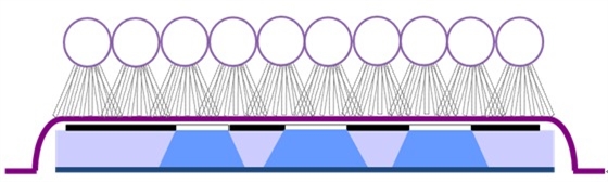 天勢(shì)科技標(biāo)簽印刷